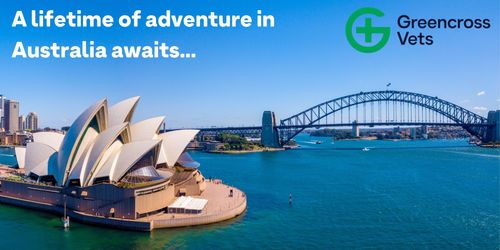 A career with Greencross Vets could take you anywhere…